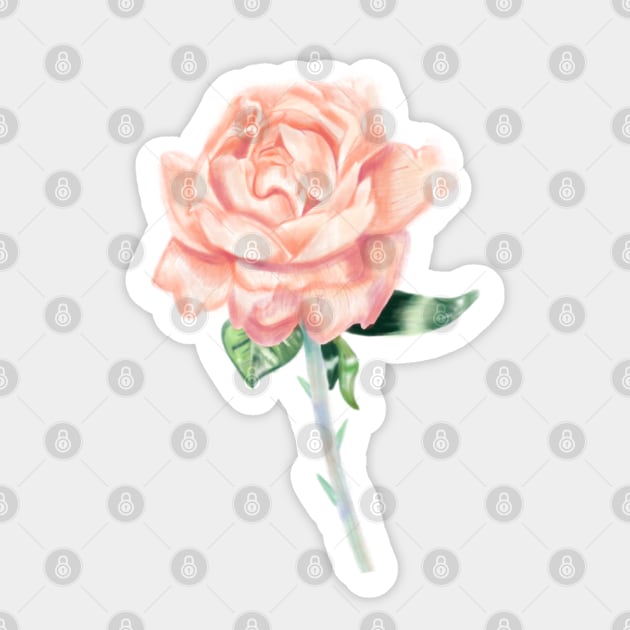 Peach Rose illustration Sticker by Deardarling